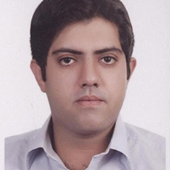 Reza Khajeh Mohammad Lou's profile picture