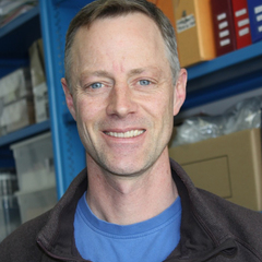 William Banks's profile picture