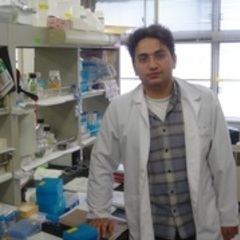 Kursat Yaykasli's profile picture