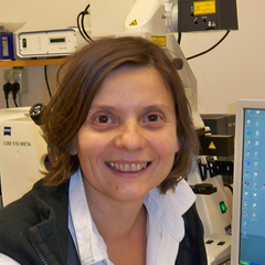 Vladana Vukojevic's profile picture