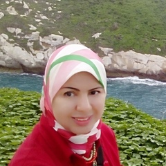 Abeer Ibrahim's profile picture