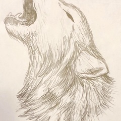 Lucian Lupu's profile picture