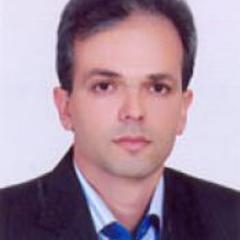 Hossein Hasani's profile picture