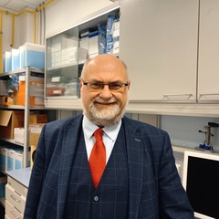 Grzegorz Wegrzyn's profile picture