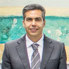 João Tavares's profile picture