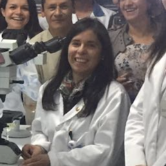 Mercedes Olaya-C's profile picture