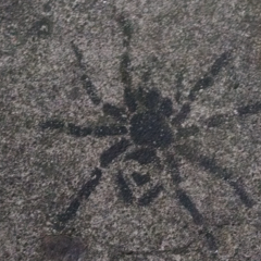 Michael Sitvarin's profile picture