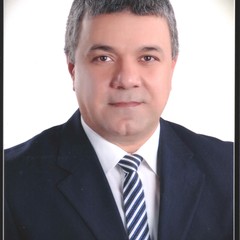 Medhat Rakha's profile picture