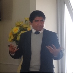 Raúl Siche's profile picture