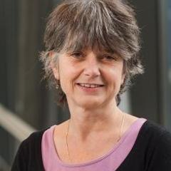 Lisette van Lieshout's profile picture