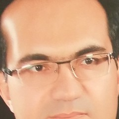 Amir  Navarchian's profile picture