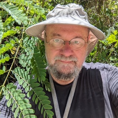 Mikhail Inyushin's profile picture