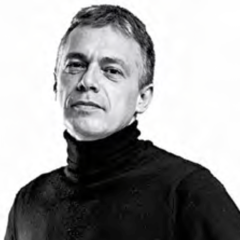 Stefano Iacus's profile picture