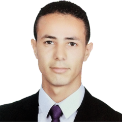 Mohamed A. A.  Abdelkareem's profile picture