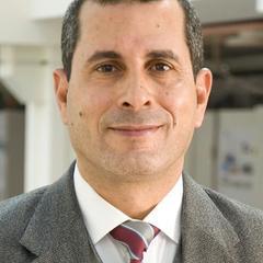 Sayed Tantawy's profile picture