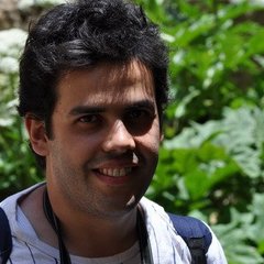 Ramin Hashemi's profile picture