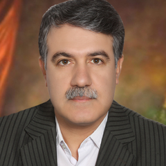 Ali  Mohebbi's profile picture