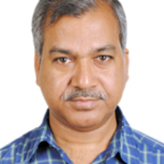 Sarada Mohanty's profile picture