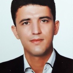 ehsan hooshmand's profile picture