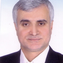 Ramezan Ali Sadeghzadeh's profile picture