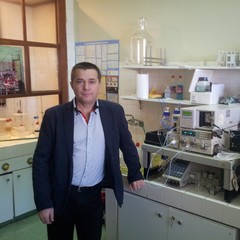 Ratomir Jelic's profile picture
