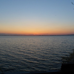 Sharon Clay's profile picture