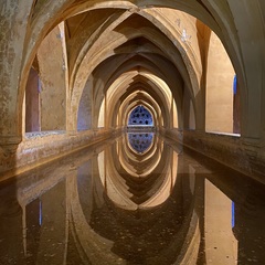 MARIO Vázquez-Maguirre's profile picture