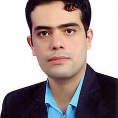 Mostafa Ghobaei-arani's profile picture