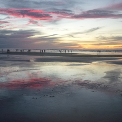 Joao Mello's profile picture