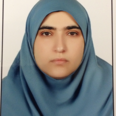 Ladan Teimoori-Toolabi's profile picture