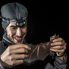 Diogo Ferreira's profile picture