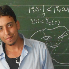 Lahoucine ELAISSAOUI's profile picture