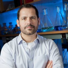 Emmanuel Skordalakes's profile picture