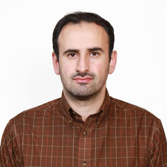 Hamed Salimi-kenari's profile picture