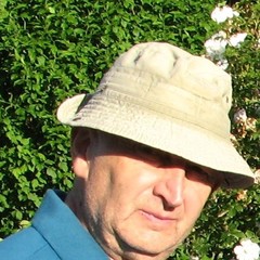 Mihai Nadin's profile picture