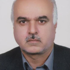 Mohammad H Neshati's profile picture