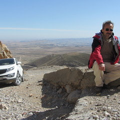 Mohammad Ali Kavoosi's profile picture