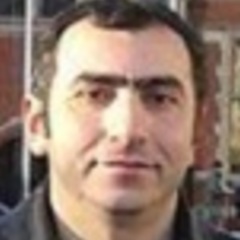 Vassilios Vassilakis's profile picture