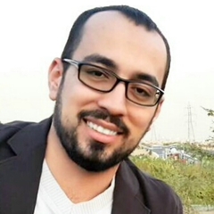 Mohammad Hosein Amirzade-Iranaq's profile picture