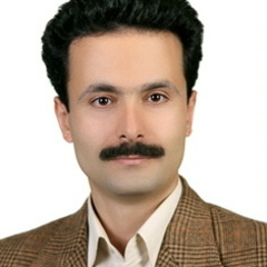 Ramin Javahershenas's profile picture