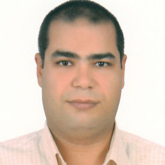 Mahmoud  AbouLaila's profile picture