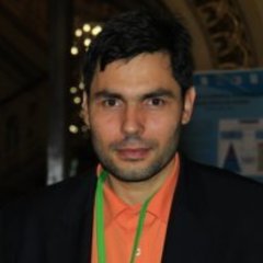 Ion Andronache's profile picture