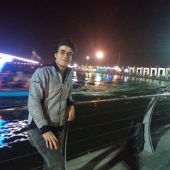 Farzad Bidari's profile picture