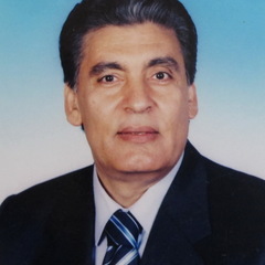 Ahmed Medhat Al-Naggar's profile picture