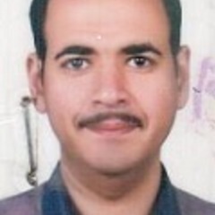 Ahmed Noah Badr's profile picture