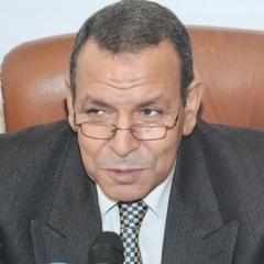 Salah Sheweita's profile picture