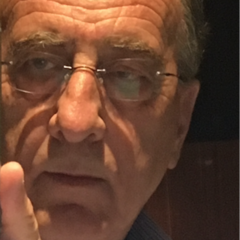 Harry Minas's profile picture