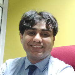 Seyed Shahmy's profile picture