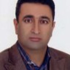 Saeid Tahmasebi's profile picture