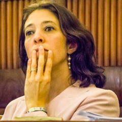 Silvia Bolgherini's profile picture